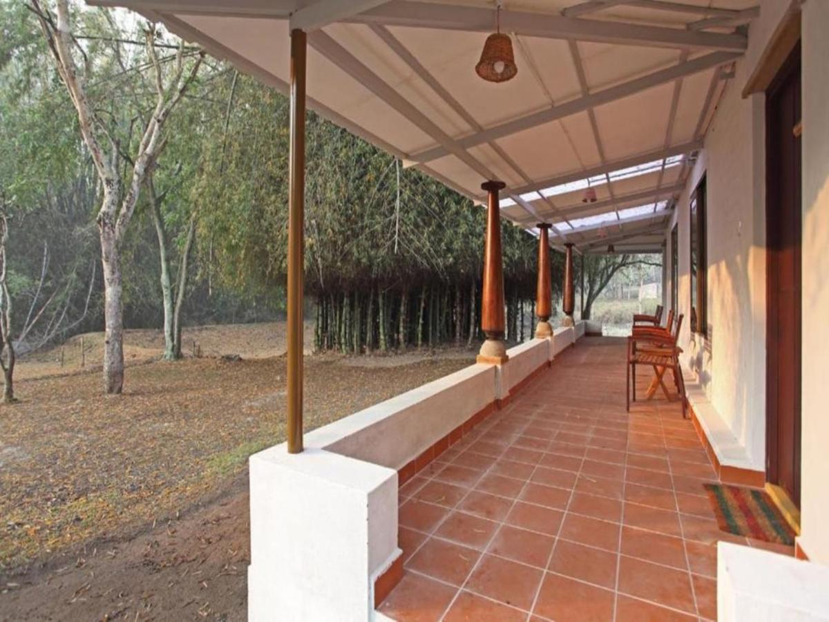 Jungle Hut Hotel Masinagudi Buitenkant foto
