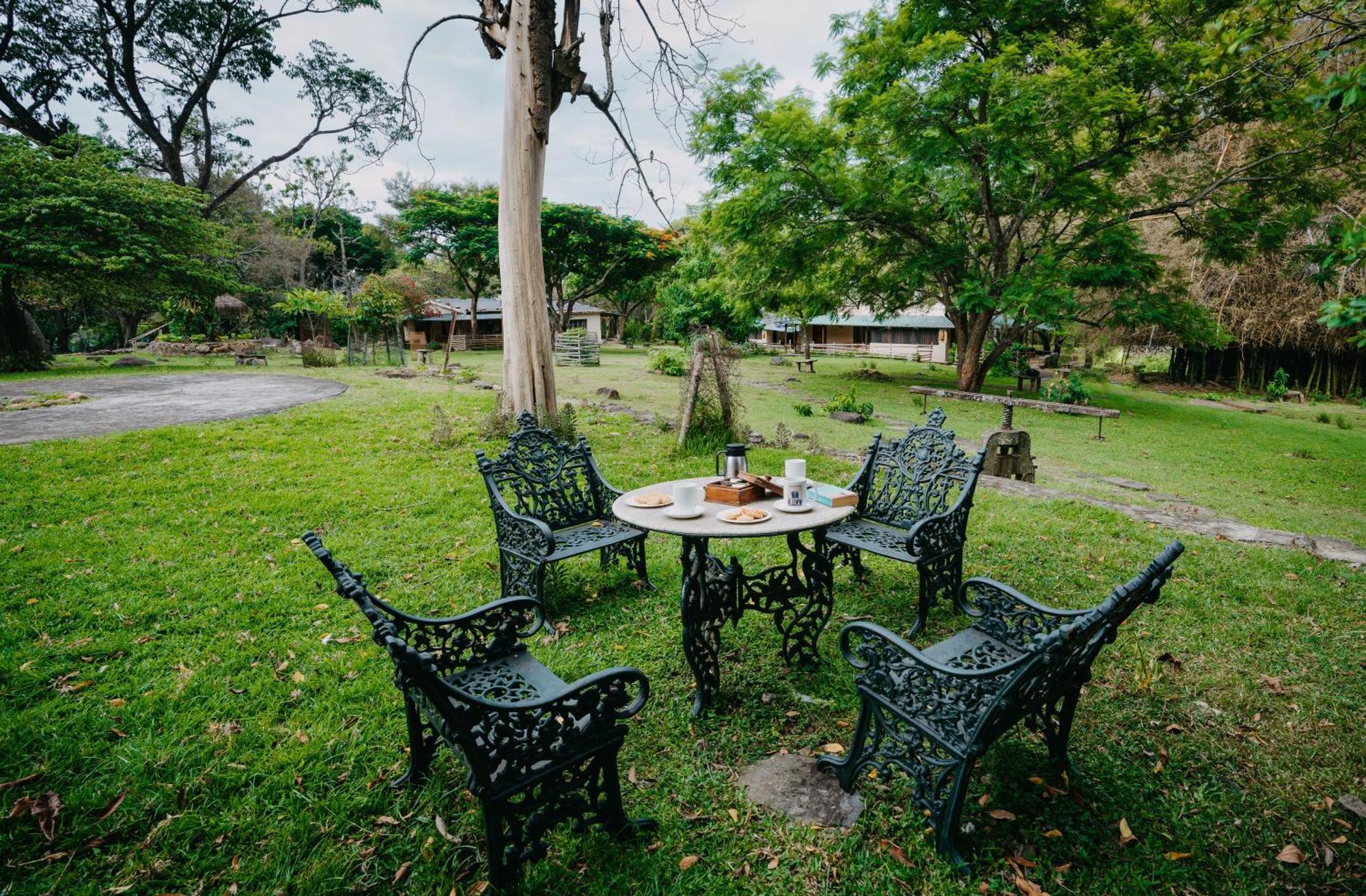 Jungle Hut Hotel Masinagudi Buitenkant foto